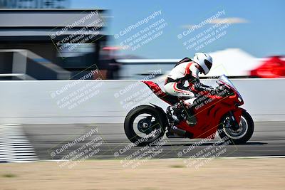 media/Mar-25-2024-Moto Forza (Mon) [[8d4319bd68]]/3-Intermediate Group/Session 4 (Front Straight Speed Pans)/